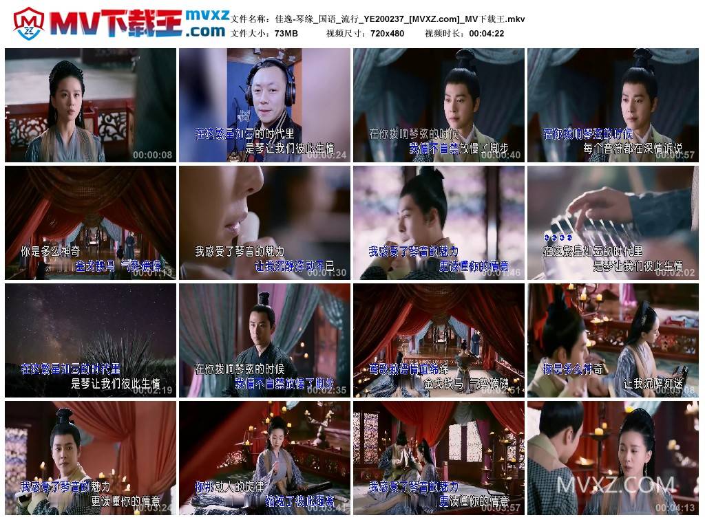 佳逸-琴缘_国语_流行_YE200237